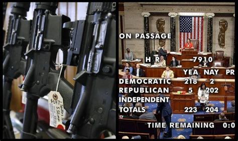 Sweeping Gun Reform Bill Passes In The House Here Are The Ten Rinos