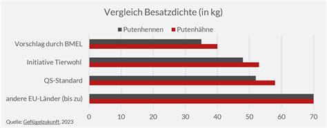 Afc Consulting Group Issue Der Woche Pute Gut Alles Gut