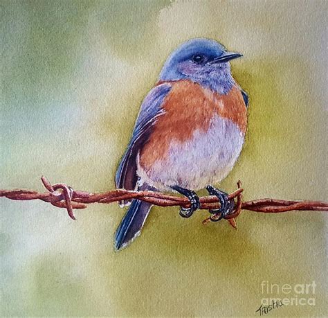 Eastern Bluebird Painting By Patricia Pushaw