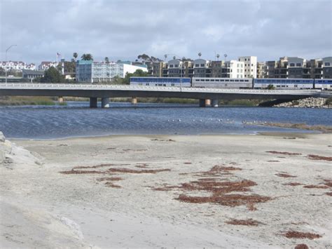 Oceanside Harbor Beach in Oceanside, CA - California Beaches