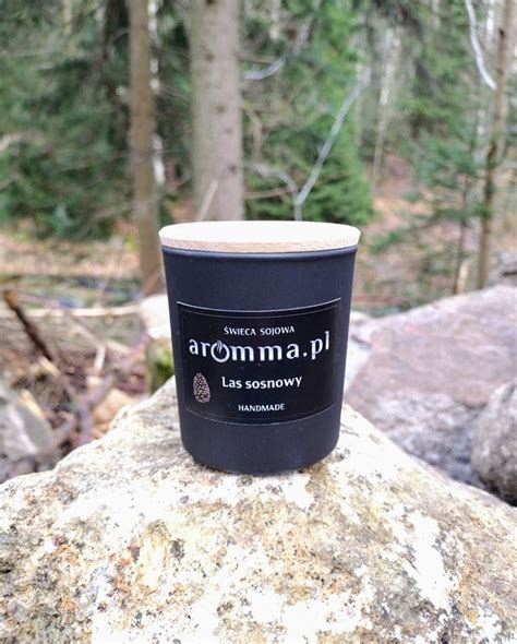 Blog Las Sosnowy Aromma Pl Wiece Zapachowe Tworzone Z Pasj