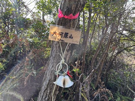 大河原山〜立戸山〜桜山 里山遊さんの行者山・傘山・忠四郎山の活動日記 Yamap ヤマップ