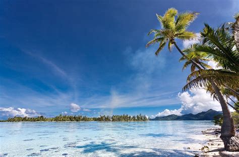 Nature Landscape Photography Tropical Beach Eden White Sand Palm Trees