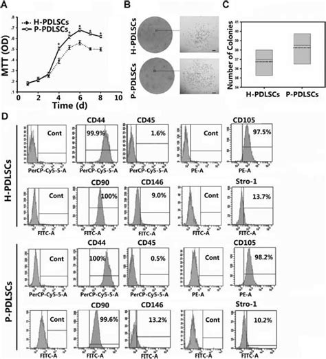 Isolation And Identification Of Pdlscs From An Inflammatory