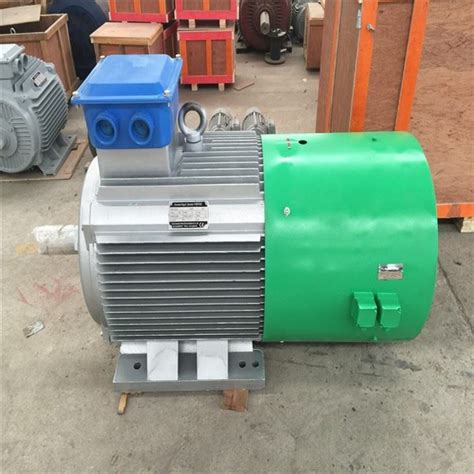 Kundenspezifischer Kw Rpm Permanentmagnetgenerator V Lieferanten