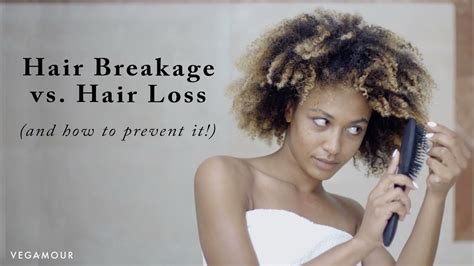 Hair Breakage Vs Hair Loss And How To Prevent It Youtube