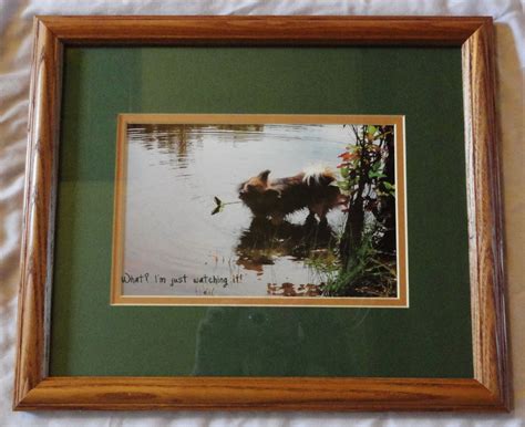 frame examples - jeanette's touch photography