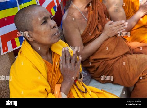 A Female Monk Praying At The Foot Of The Bodhi Tree Where The Buddha