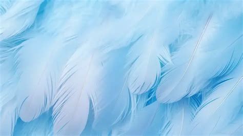 Exquisite Delicacy Of Vintage Pastel Blue Feather Textures Background