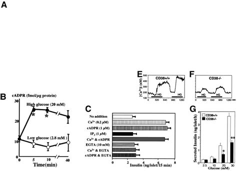 The Cd Cadpr Signal System For Insulin Secretion By Glucose