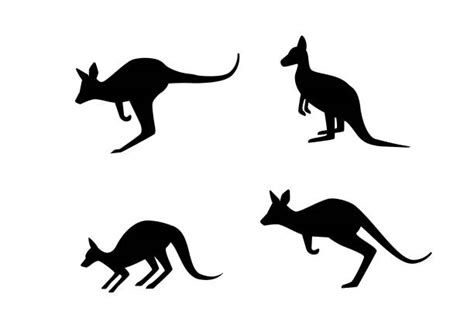 2 200 Wallabies Stock Illustrations Royalty Free Vector Graphics