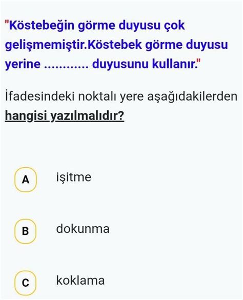 Bu soruyu çözebilir misiniz acill Eodev