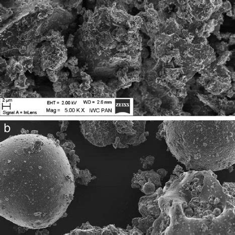 Sem Micrograph Showing The Morphology Of A Cement Cem I And B