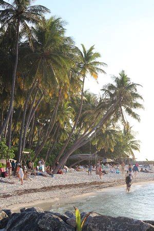 Bikini Beach Maafushi Town All You Need To Know BEFORE You Go With Photos TripAdvisor