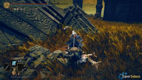 Elden Ring Sote Walkthrough Scadu Altus West Game Of Guides