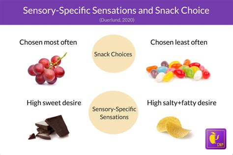 Special Topic In Nutritional Psychology Factors Contributing To Food Selection Behavior The