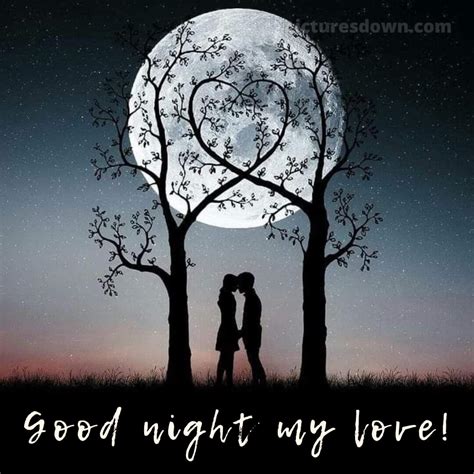 Good Night Image Love Moon Picturesdown