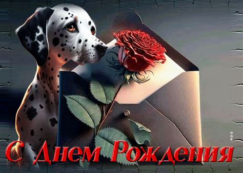 Вдохновляющая гиф-открытка с собачкой С Днем Рождения- Скачать ...