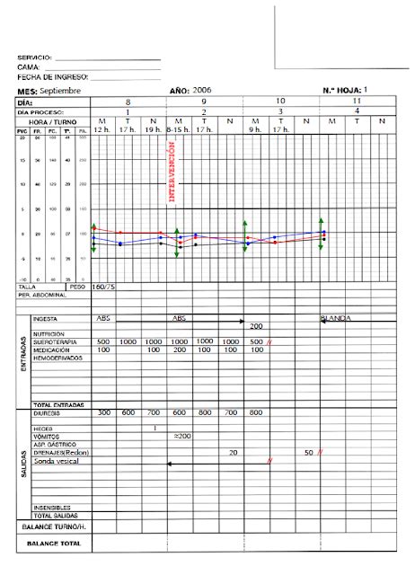 Enfermer en Urgencias y UCI Documentos Gráfica Horaria y Hoja de