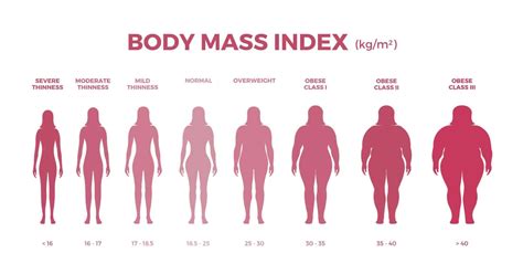 What Bmi Vs Waist To Hip Ratio Can Tell About Your Health Weight Loss