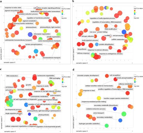 Gene Ontology Go Enrichment Analysis Of Downregulated Genes In Btx623 Download Scientific