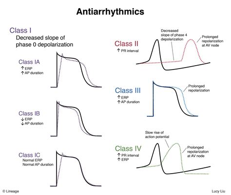 Antiarrhythmics Cardiovascular Medbullets Step