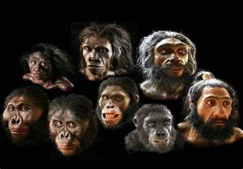 کشف راز چگونگی پراکنده شدن انسان ها در دنیا - تسنیم