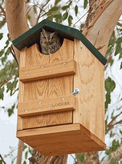 Owl House Multi Species Bird House Kits Bird House Bird Houses Diy