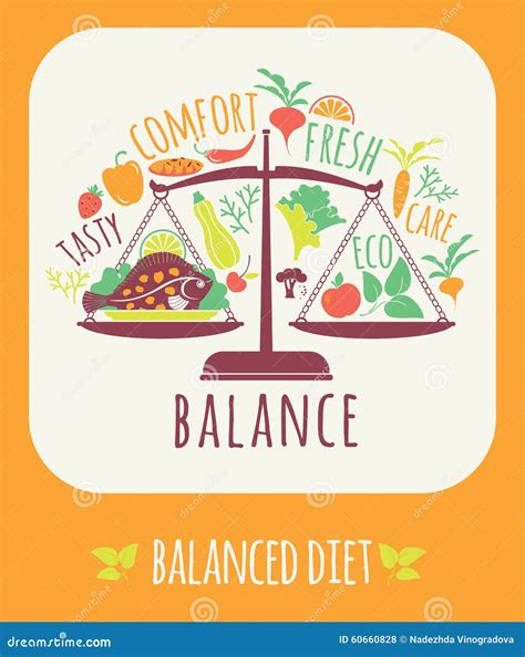 Vector Illustration Of Balanced Diet Stock Vector Illustration Of Beauty Lifestyle 60660828