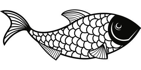 200000 Free Fish Line Art And Fish Images Pixabay