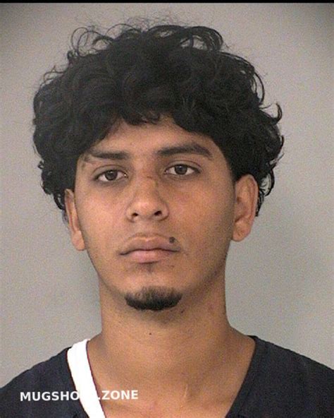 Hernandez Josue Fort Bend County Mugshots Zone