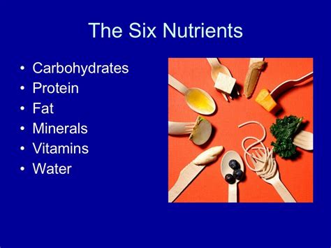 The 6 Nutrients