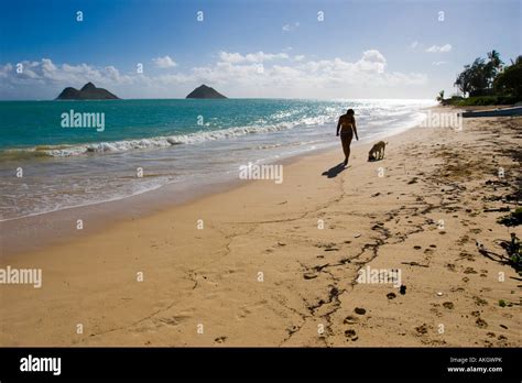 Silhouette einer Frau in einem Bikini zu Fuß ihren Hund am Strand von Lanikai in Oahu Hawaii mit