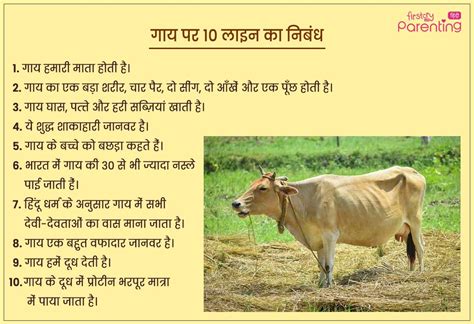 गय पर नबध हद म Essay On Cow In Hindi Gai Par Nibandh