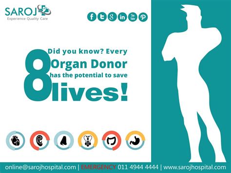 The Power Of Organ Donation Save Lives Today