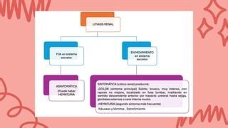 Litiasis Renal En El Adulto Diagnostico Y Tratamiento Ppt