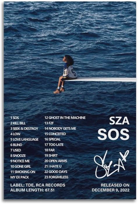 Amazon Sza Poster Sos Album Cover Poster For Bedroom Canvas Art