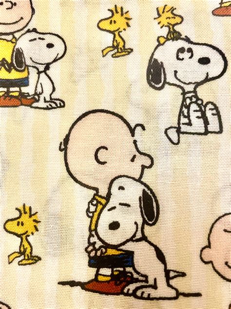 Sweetest Snoopy And Charlie Brown Blanket Ever Etsy