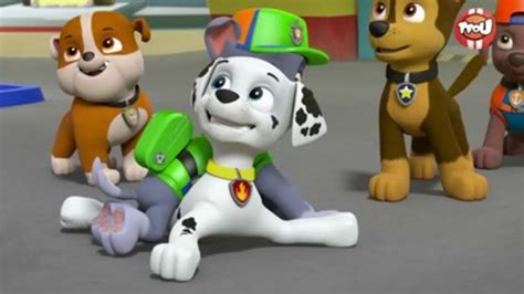 Replay TFou Du 06 07 2024 Paw Patrol La Pat Patrouille La Pat