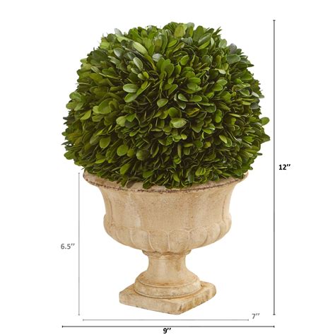 12” Boxwood Topiary Ball Preserved Plant In Decorative Urn Nearly Natural