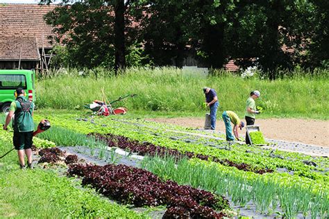 Justland Gmbh Bioland Gem Seg Rtnerei