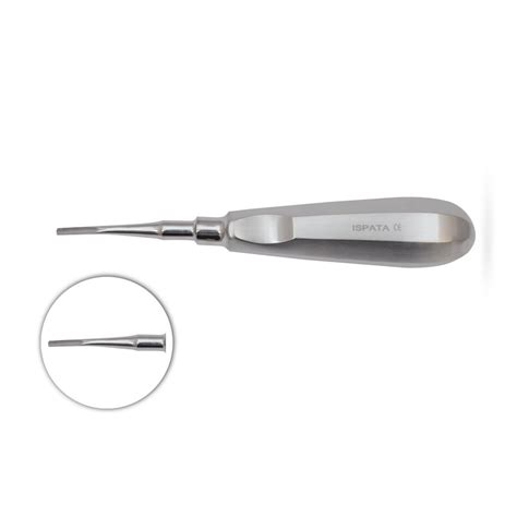 Buy Elevators Apexo Dental Surgical Instrument Ispata