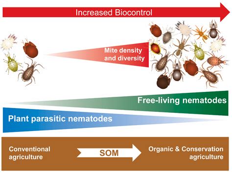 Agronomy Free Full Text Soil Nematodes As A Means Of Conservation