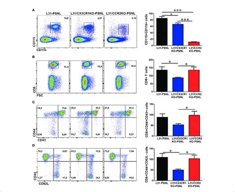 The Effect Of Ccr And Cx Cr Deficiency On Monocyte And Cd T Cell