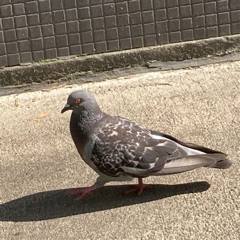 Fuck The World Playlist By Theo Henry Spotify