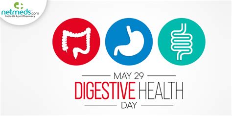 World Digestive Health Day 2023 Significance Theme And Superfoods To