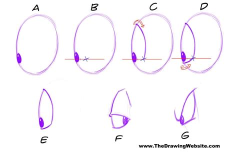 Cartoon Eye FormulasThe Drawing Website The Drawing Website Art