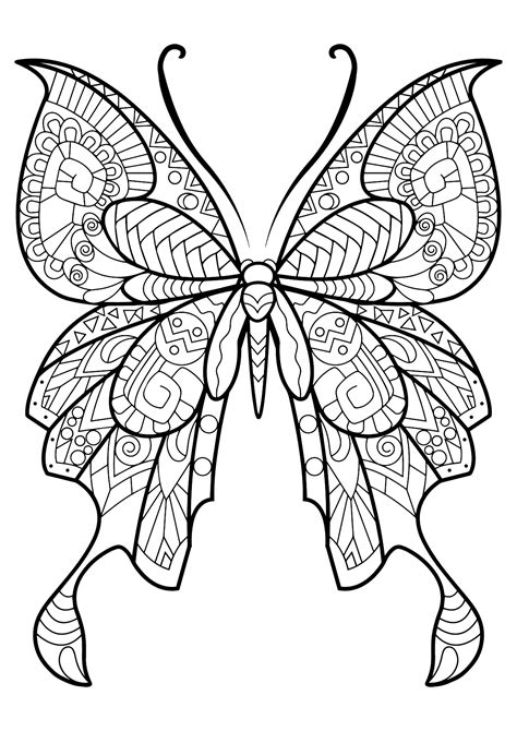 Butterfly Beautiful Patterns 8 Butterflies And Insects Adult Coloring