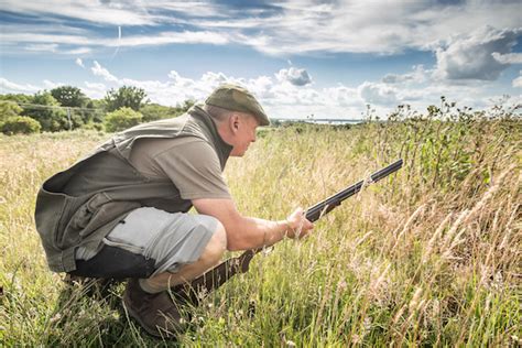 Pigeon Shooting How To Improve Your Skills And Technique