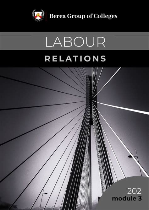 Labour Relations 202 Module 3 By E Publishing